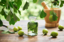 ginkgo biloba