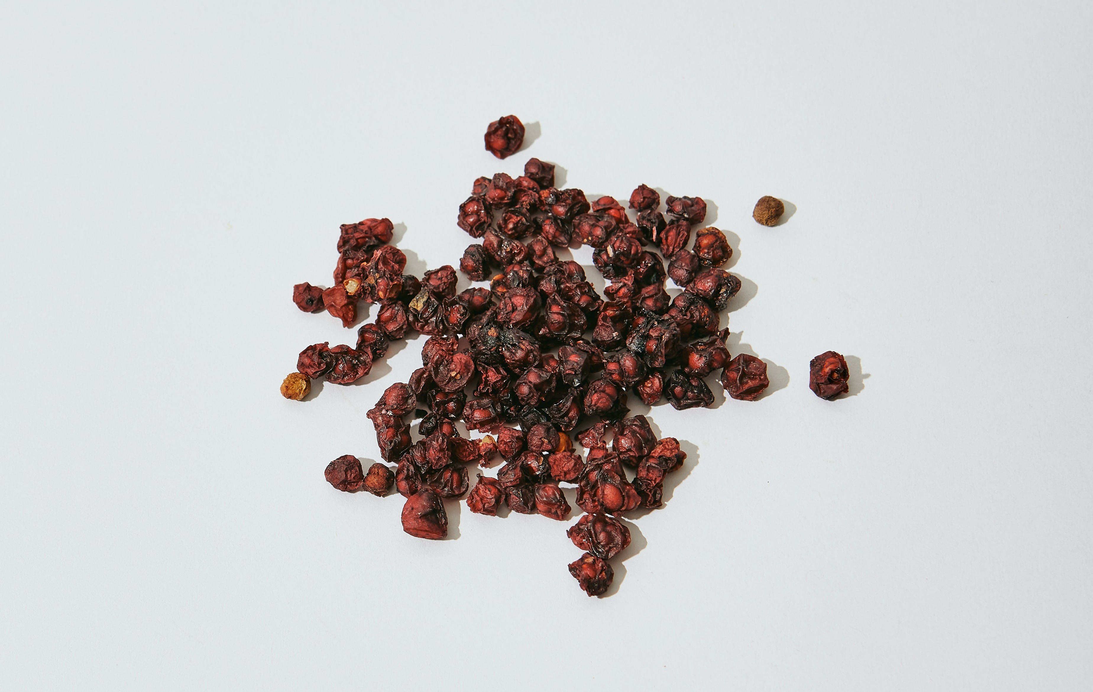 schisandra
