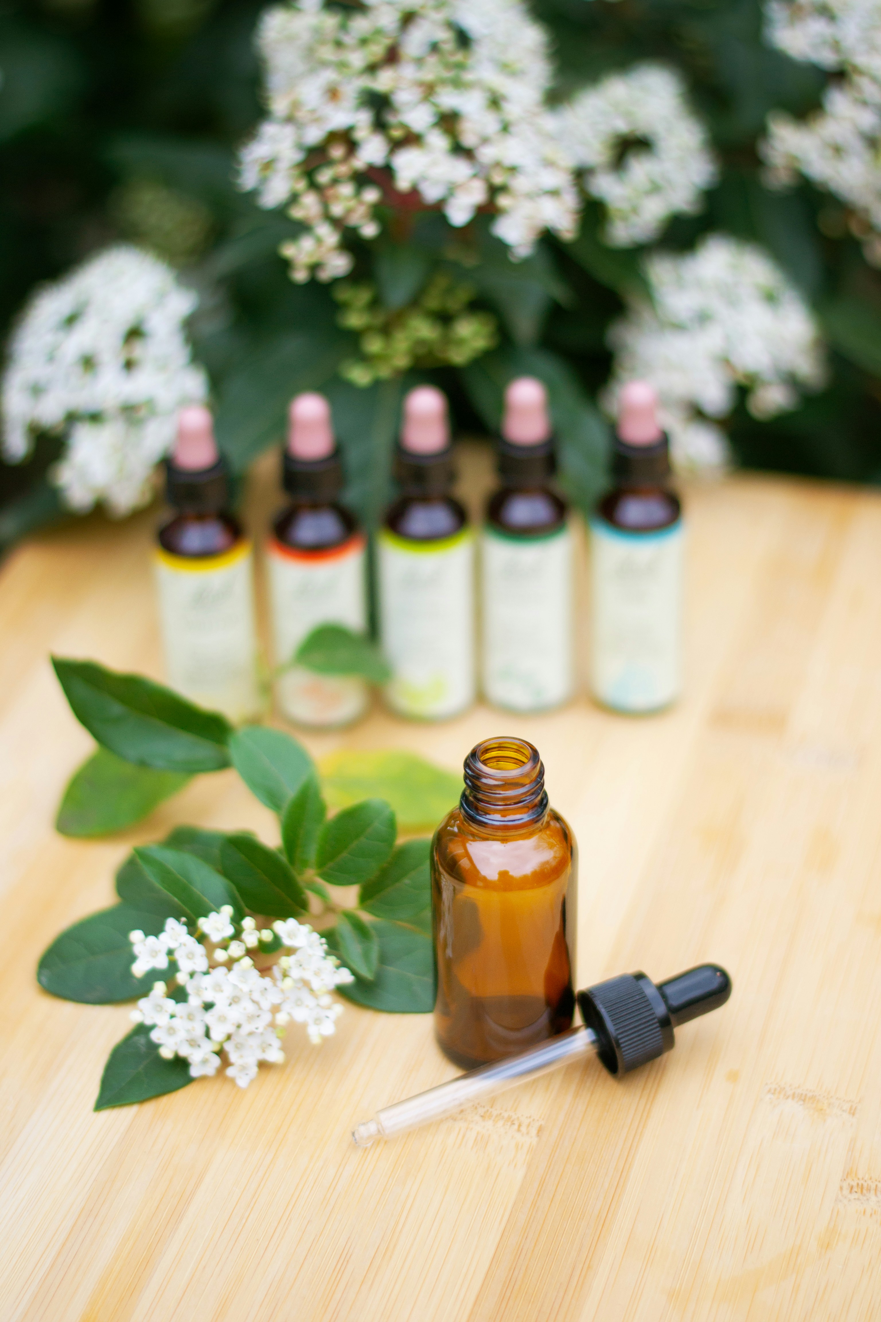 Homeopathie: betekenis, toepassingen en werking