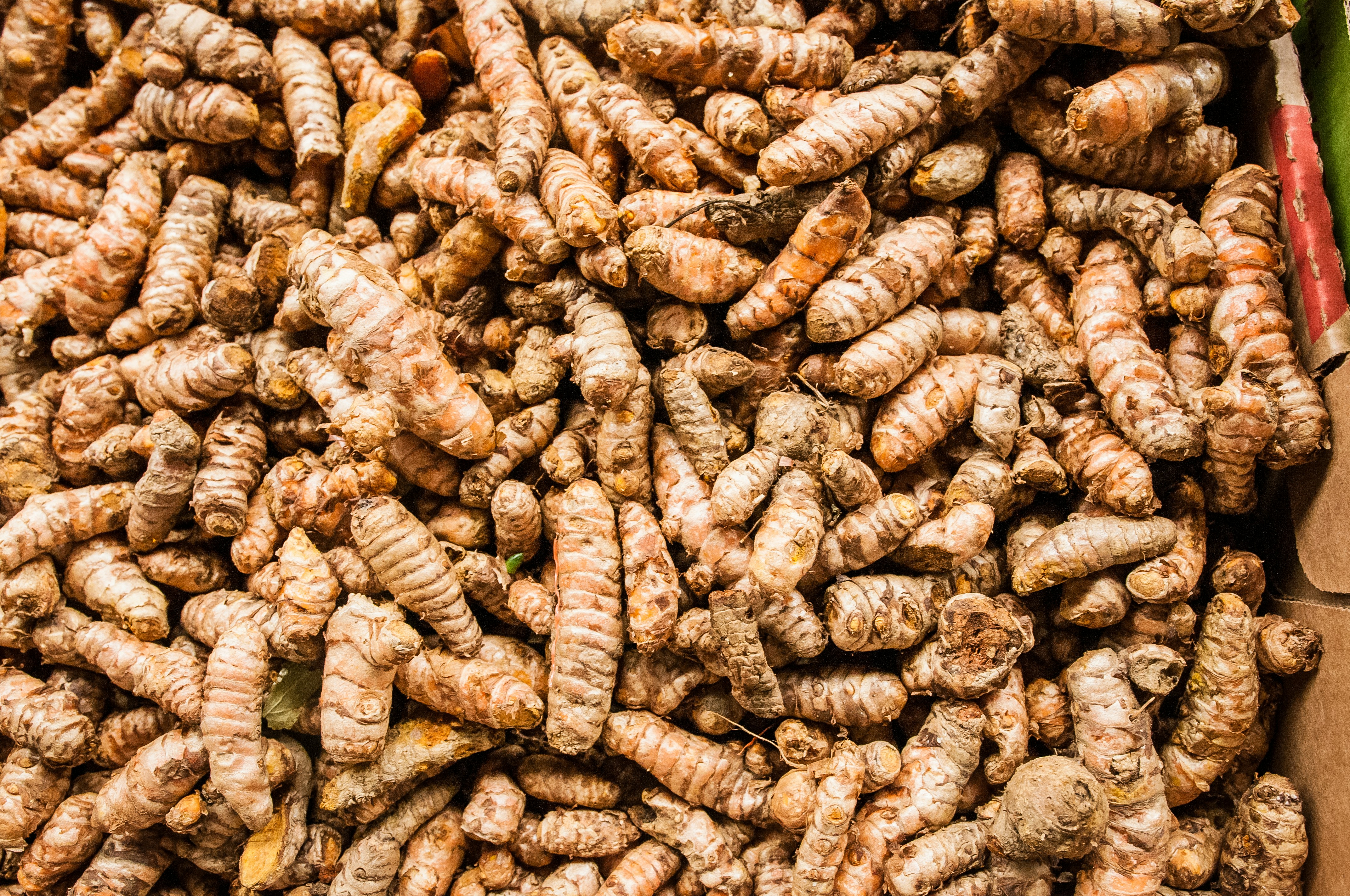 Kurkuma: de gouden specerij uit de natuur