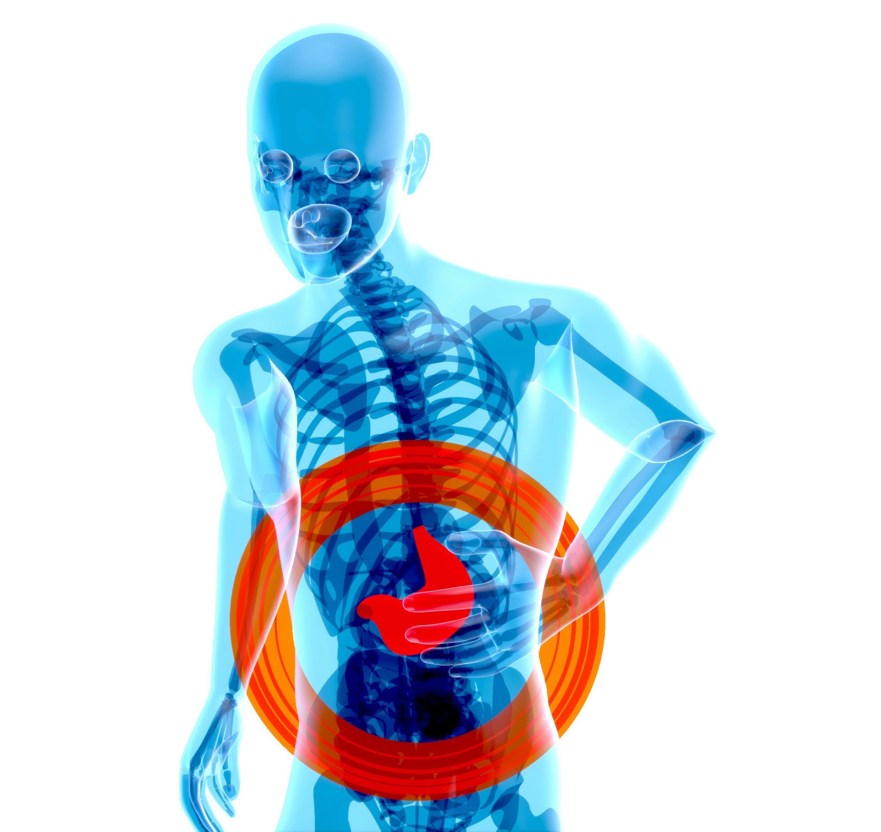 Spijsvertering: de motor van je gezondheid