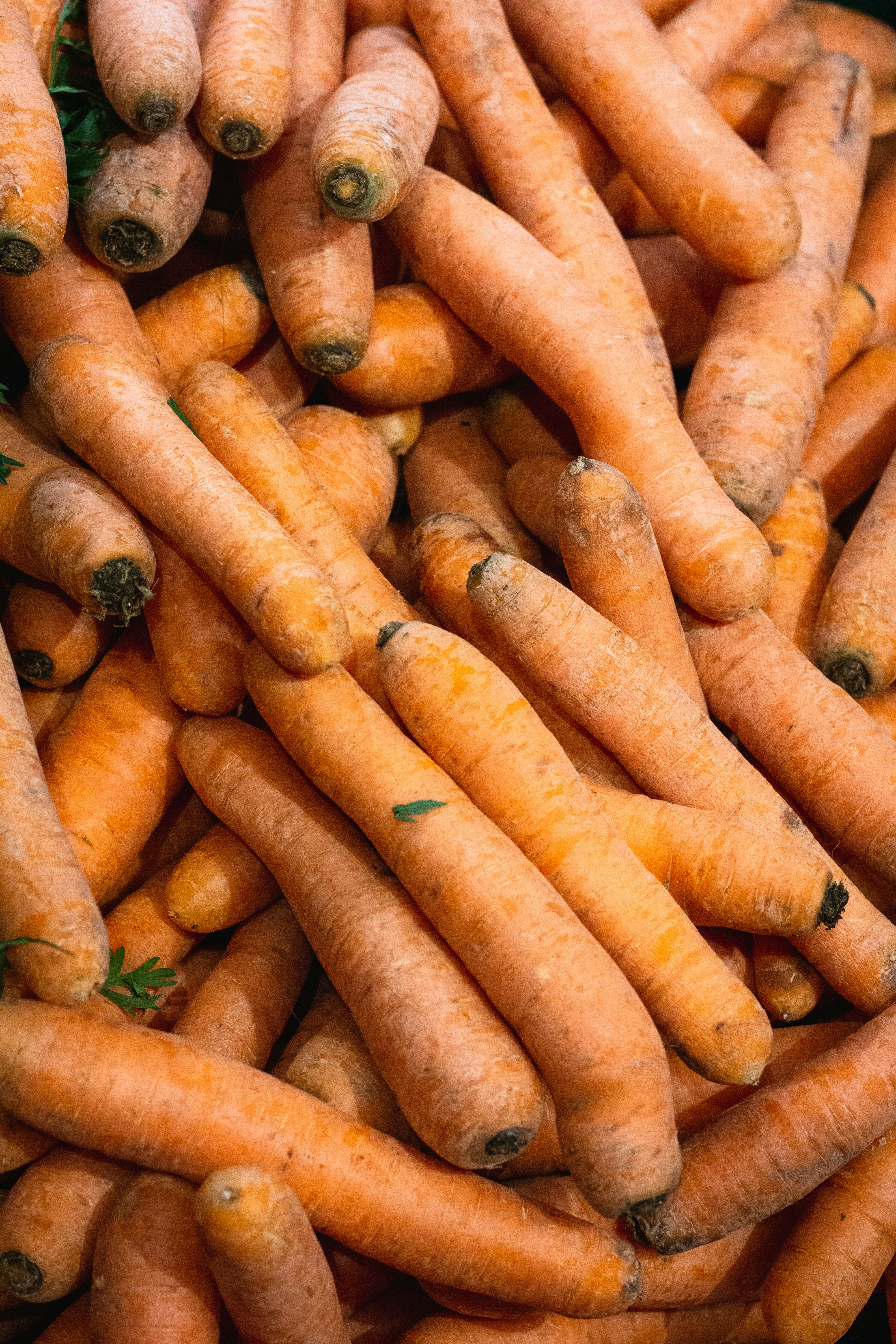 Vitamine A: essentieel voor huid, ogen en weerstand