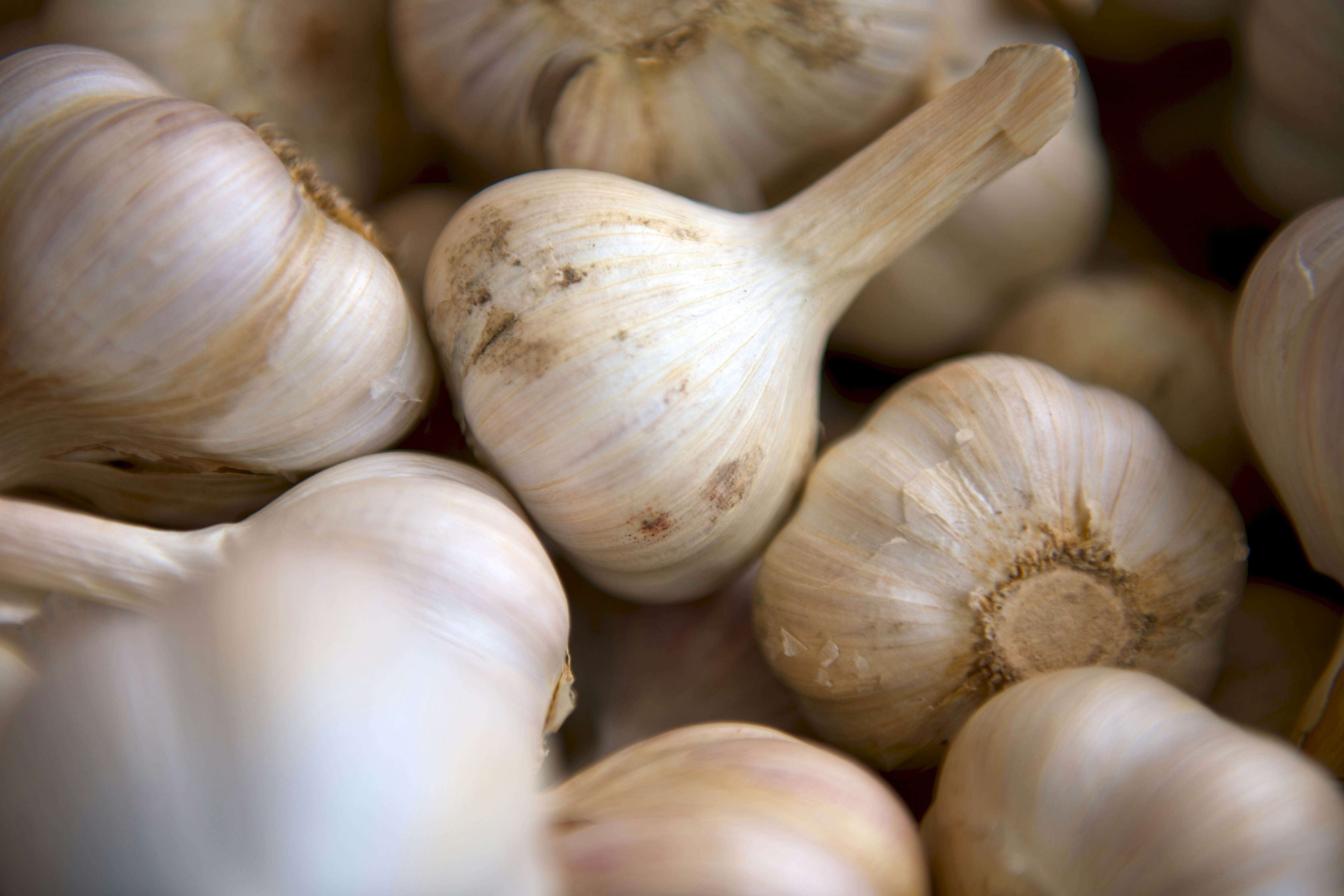 Knoflook: een veelzijdige smaakmaker met een lange geschiedenis