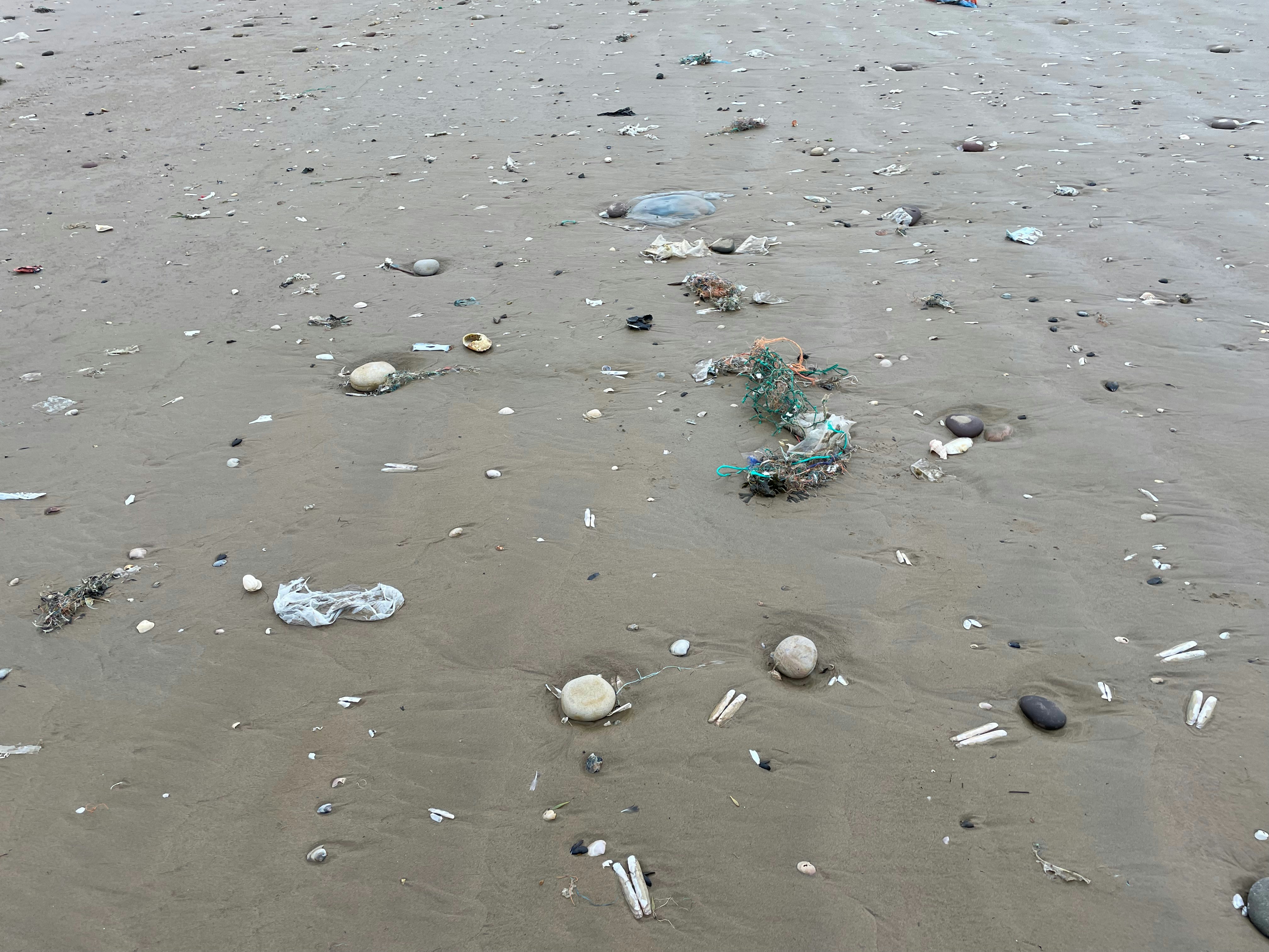 Microplastics: de onzichtbare bedreiging in onze dagelijkse producten