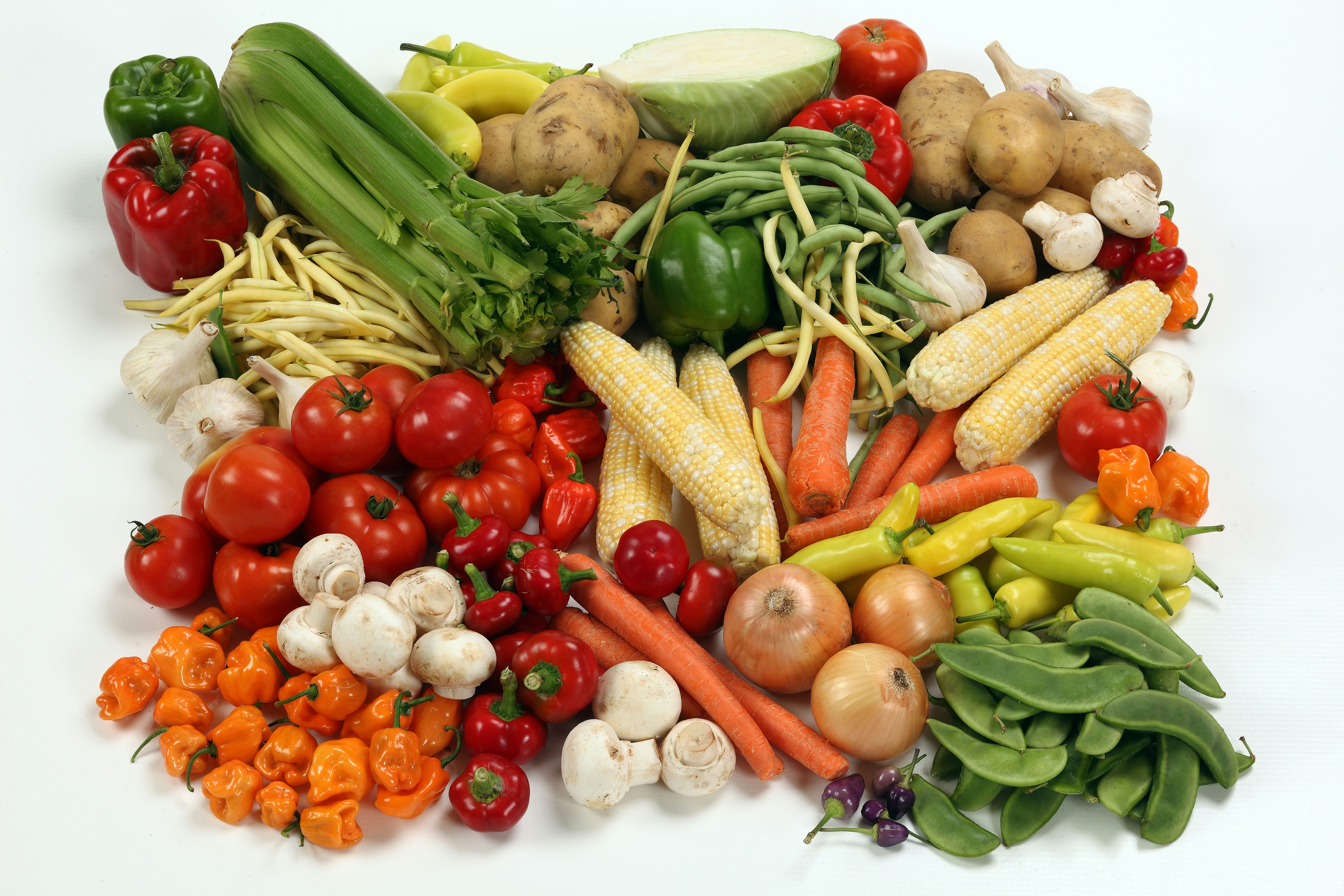Vitamine B12: onmisbaar voor energie, bloed en zenuwen