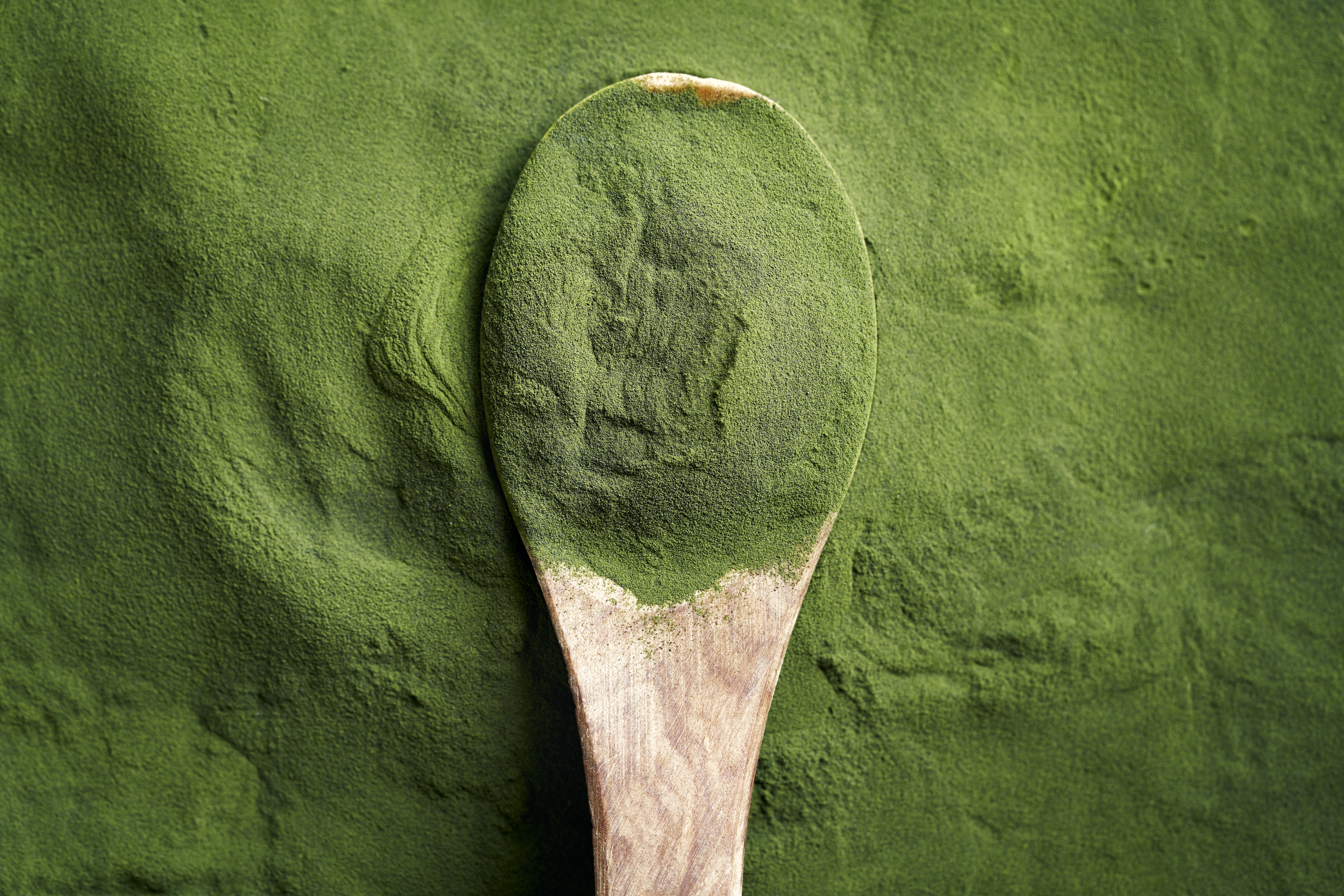 Chlorella